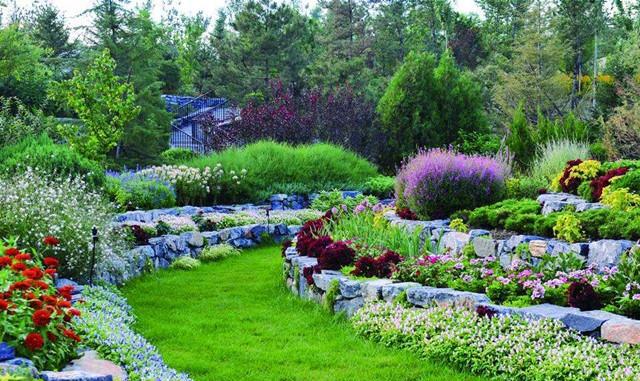奇特食肉植物排行榜 最强捕食能力植物揭秘