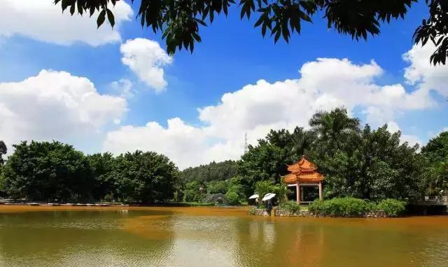 肇庆哪里有95或98水汇