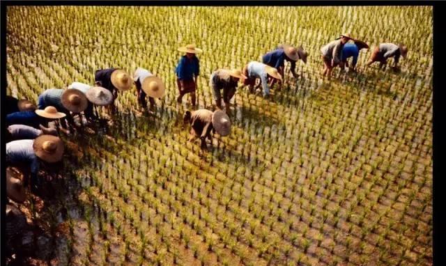 1971年中国农村真实老照片: 想不到70年代的中