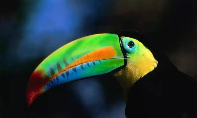 又一个国家宣布与中国建交!又可以去旅游啦!