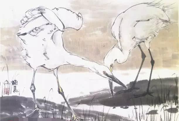 怎么画丹顶鹤,仙鹤的各种姿态详解,国画仙鹤画法步骤大全