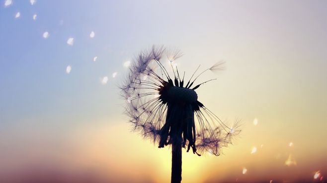 人生只有一次,请活在当下,人生哲理顺逆境(推荐