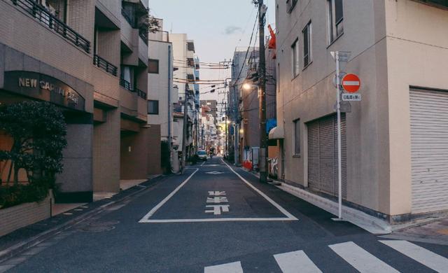 中国游客在日本乱扔垃圾?网友:根本没有垃圾桶