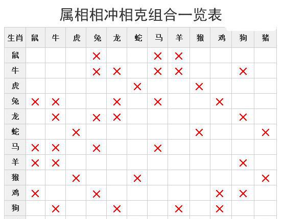 宠物不能乱养，涉及到相生相克，12生肖养啥宠物可以旺运