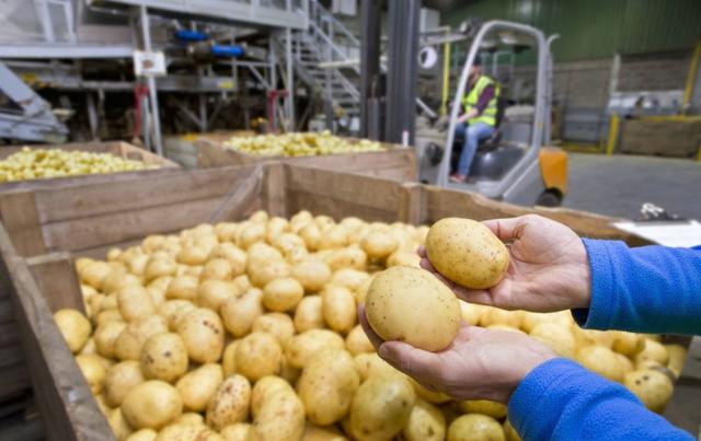 2018年农村这四大项目,将得到国家的资金支持