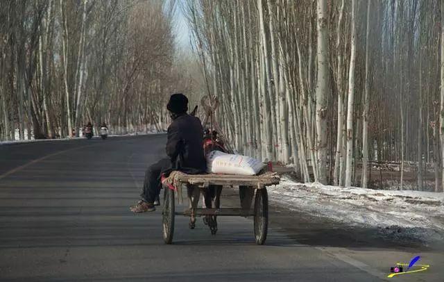 中巴友谊路，世界上最高最美的公路，一路风景一路赞叹