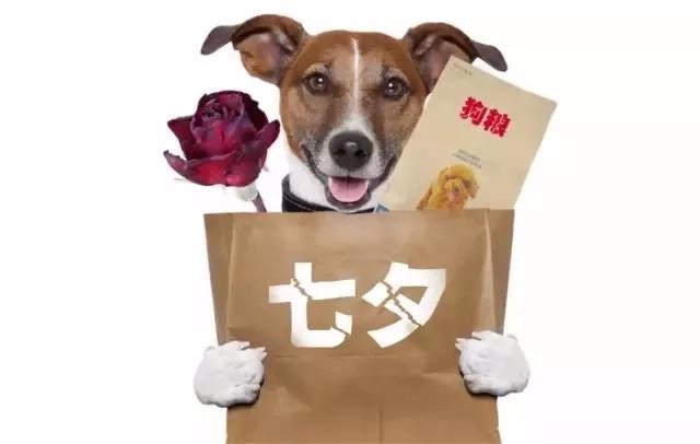 情人节攻略,肝病患者能接吻吗?如何度过一个健