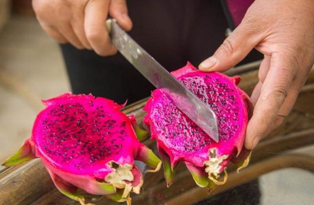 偷偷告诉你农村现在流行种水果了,此种果树,不