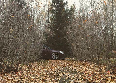 斯柯达野帝也玩低趴, 装上兰博基尼轮毂之后竟有钢炮的味道!