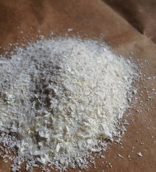 养好金钱树只需记住一埋一浇,蹭蹭往上长,一