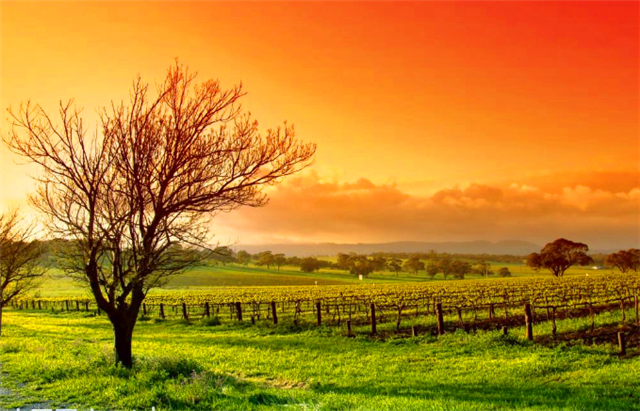 人在没钱的时候,这5件事最好不要做,对自己没