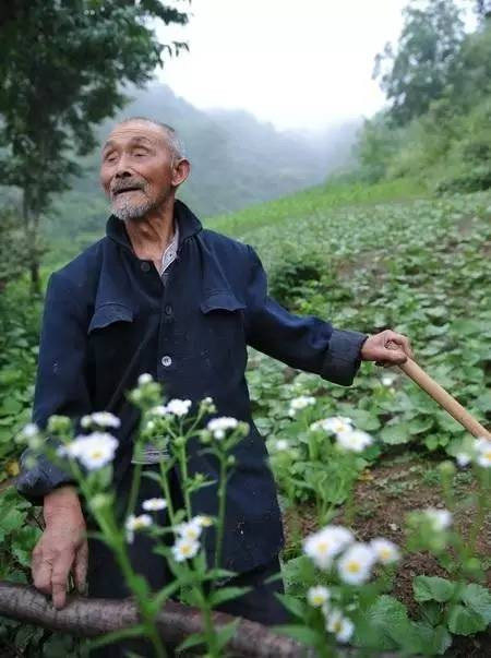 农村重点查处农资问题,3种情况将会重罚,农民