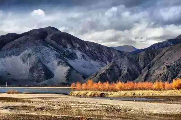 行业动态:中山南头镇怎么找做服务的小巷子 2025年实测方法与避坑指南