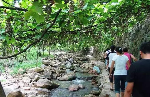 玩转五一︱闽东北亲水游 闽东旅游景点速读篇