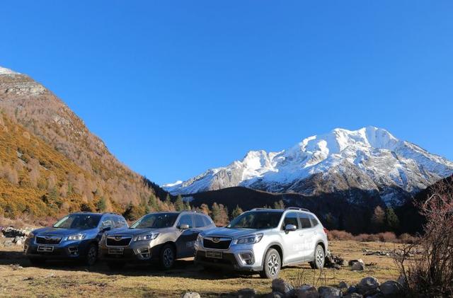 Լ22.38ĽSUVһɭ˷ѩɽԽҰѹ