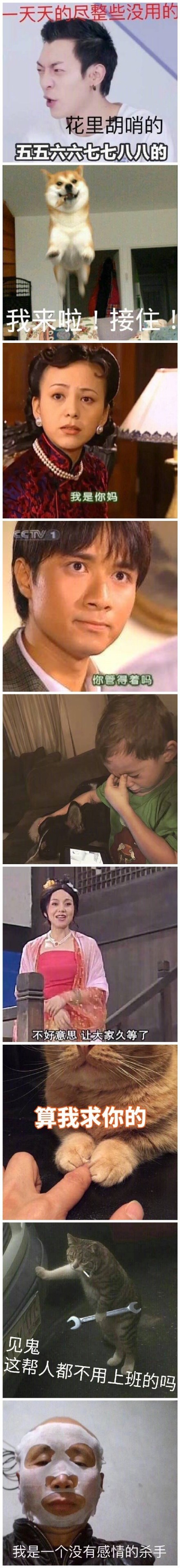 一组必备表情包合集,尬聊撩人怼人有它就够了!原图戳图 9