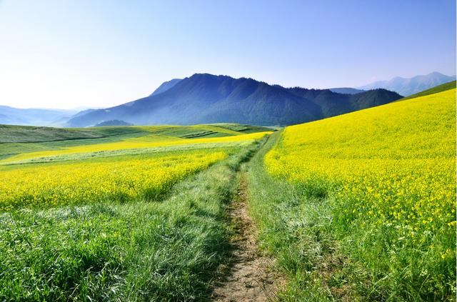 青海有一处人间仙境,却对山东人免票,风景如