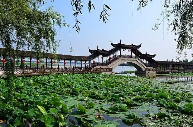 这个2500年的古镇《锦溪》，才是江南水乡最值得去的地方