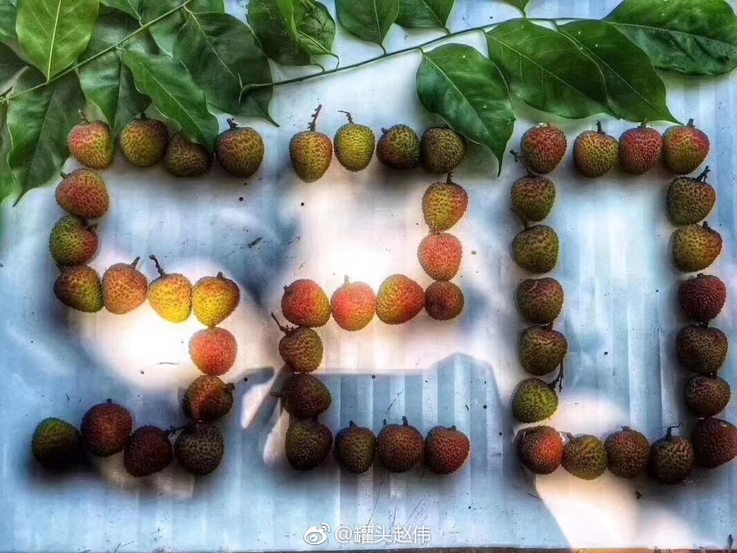 最爱这个网红贝贝南瓜燕麦饼网红贝贝南瓜主题