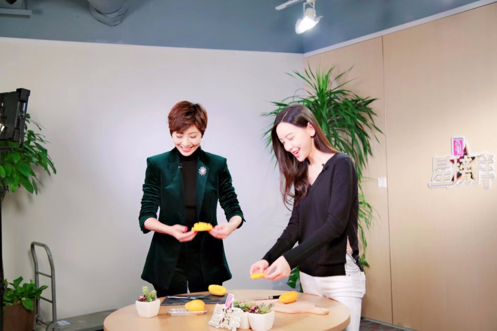 主持人紫檀,演员于文文,2018深圳卫视悦·健康有态度的新视野