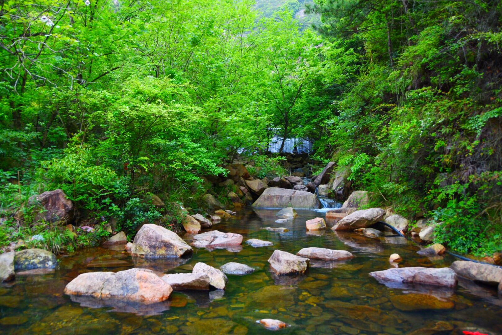 吉安附近大泡的电话