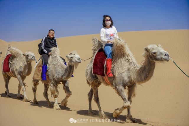 国内有个神奇的沙漠,人称奢华小迪拜,它用骆驼