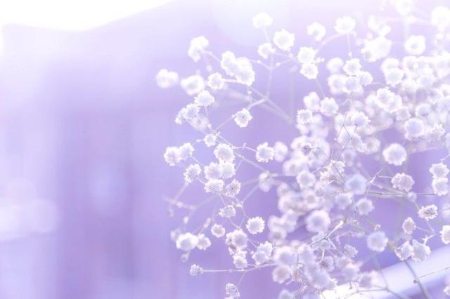 高智商,高情商,高颜值的三大星座,你属于其中哪