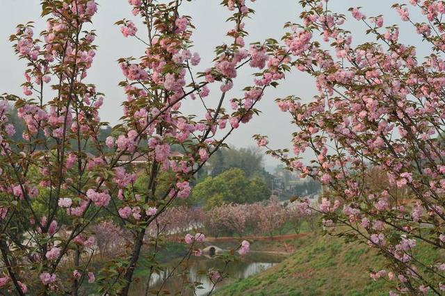 湖南省排名前三的经济强市,有你的家乡吗!