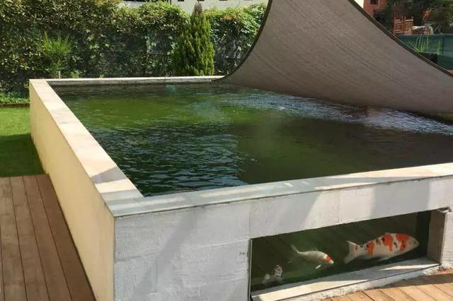 最简单庭院自制小鱼池:这些小池,或许你家也能