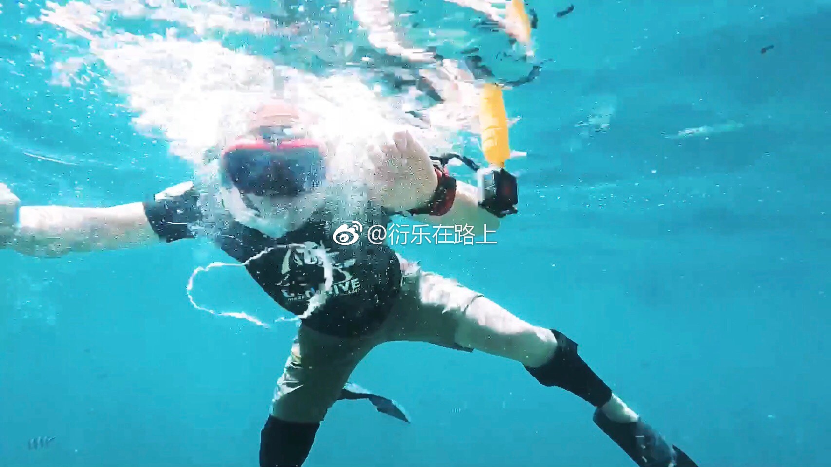 这个菲律宾入境信息分享给大家,持有申根签证