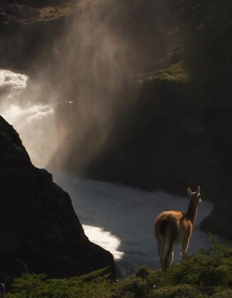 ��Щ�������ȫ�Ķ���, ʵ�������Σ�յ�