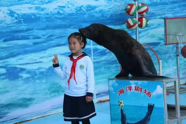 高新新徽学校走进野生动物园,探索神奇大自然