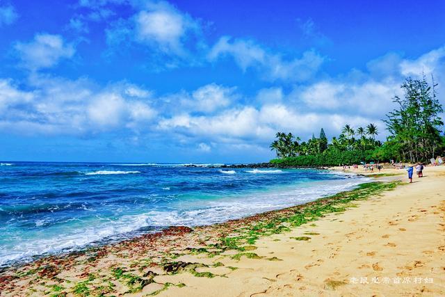 33天实地考察总结出特色沙滩图鉴,夏威夷十大最美沙滩