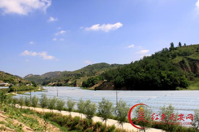 小姑娘身上有大能量--访谈黄家圪塔村第一