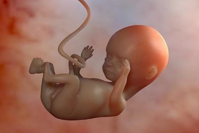 胎宝宝又玩脐带了,怀孕期间远离4个坏习惯,胎宝宝会很