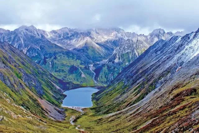 山南上门茶及其特色与历史浅析