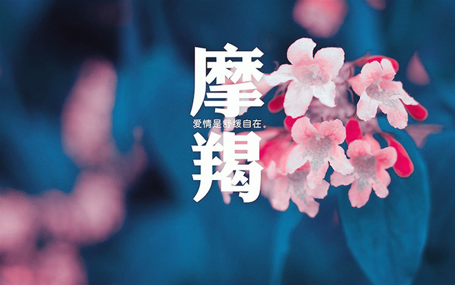 堪称星座之友的性格男,摩羯座妇女好,双子座情商高2019年属龙天蝎座女运气图片