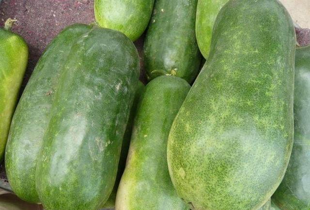 肾不好的人, 最好别吃它!