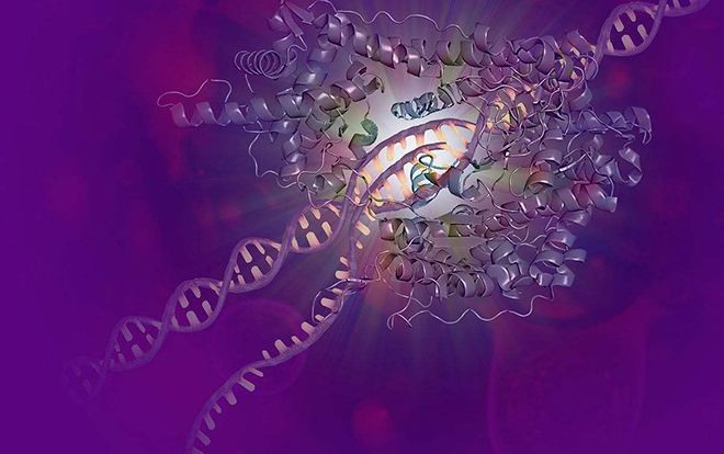 关于rna,你不得不知道的操作注意事项与实验技巧|注意事项|光度计|灭