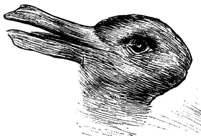著名心理测验"欺骗眼睛的鸭兔错觉图"出现了三次元真实版!