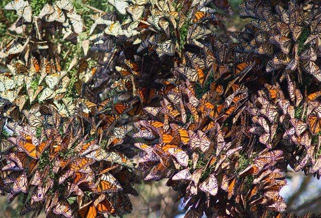 10大最壮丽诡异的自然奇观, 让人不禁感叹自然