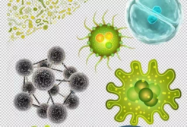 室内常见的空气污染物有哪几类?