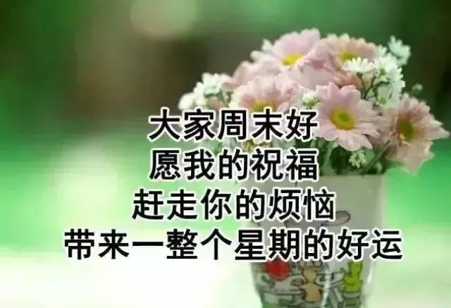 非常经典的周末早安语录 特漂亮周末愉快图片