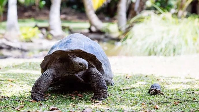 迪丽热巴旅行纪录片在这拍!世界排名前三的海