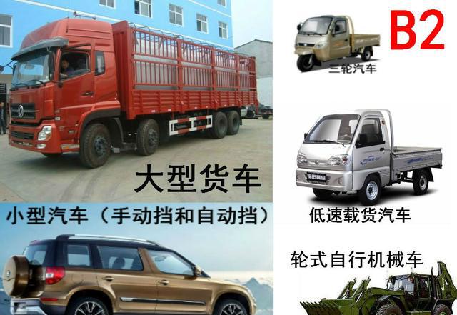 b2,可以驾驶大型货车和c1,m,才五种,大货车司机不过如此.