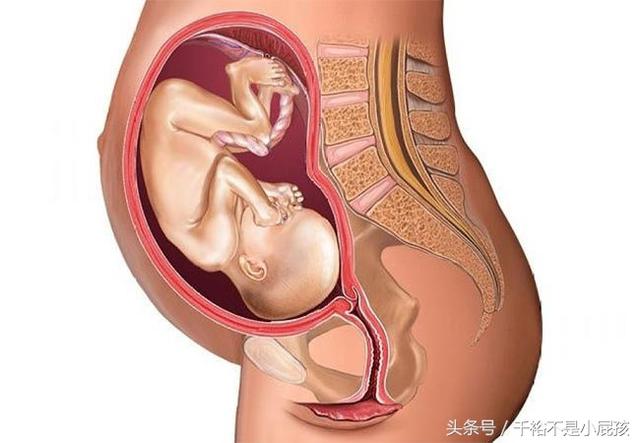 8个月的宝宝