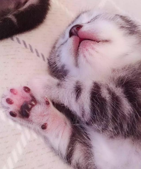 give me five