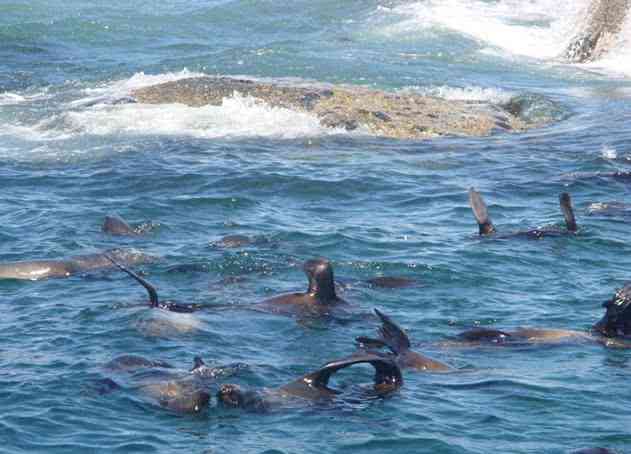 南非为了挽回中国游客,对中国开放免签政策,中