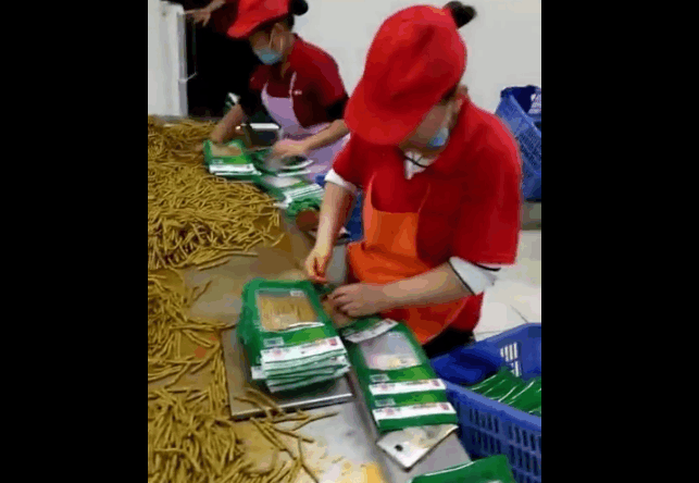 实拍: 河南辣条加工厂: 老板, 你那里还招工吗, 我保证不偷吃!