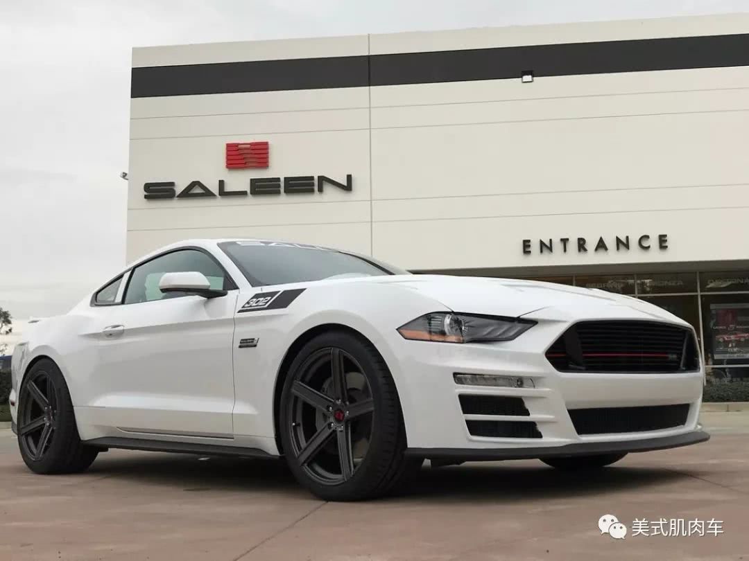 2018款赛麟野马302 外观造型抢先看